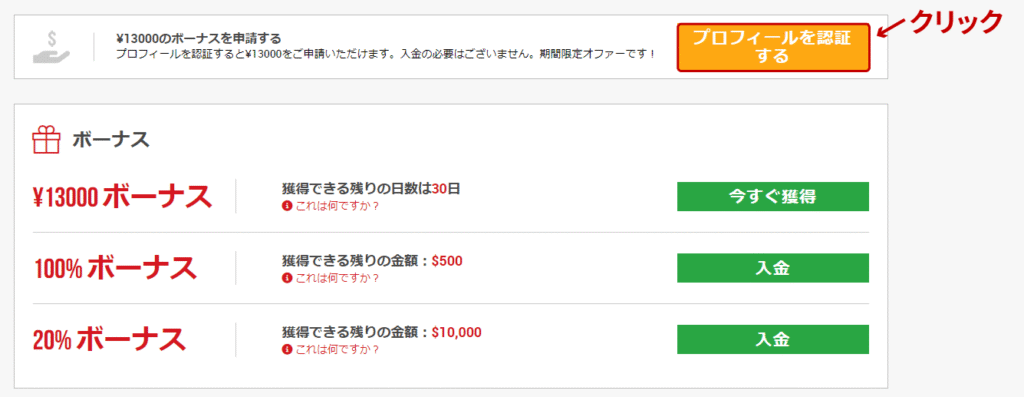 プロフィール認証画面