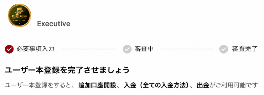 BigBossの本人確認画面