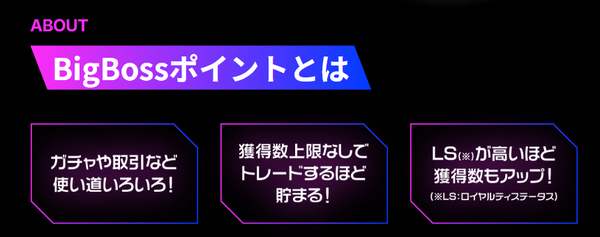 BigBossポイント